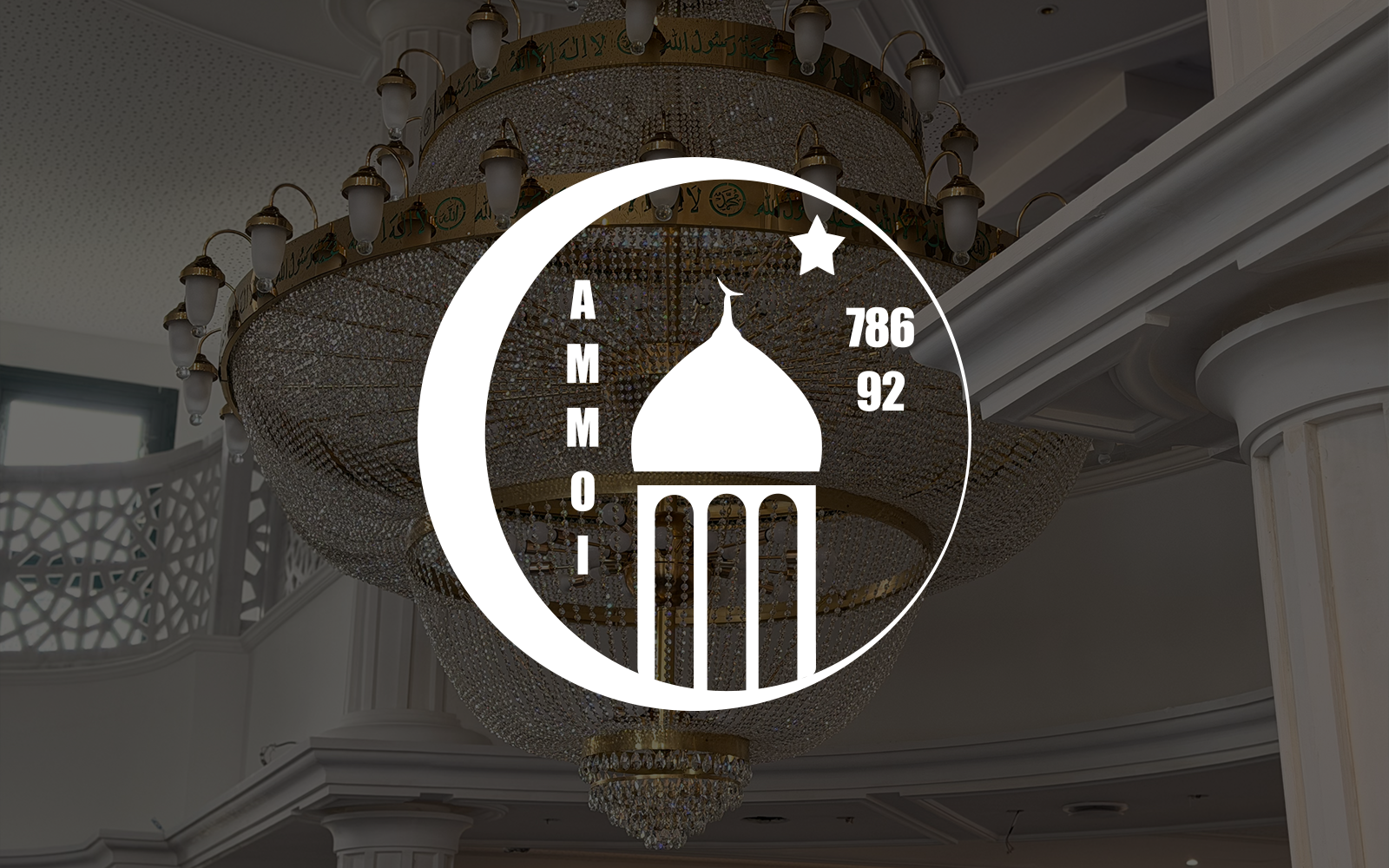 AMMOI