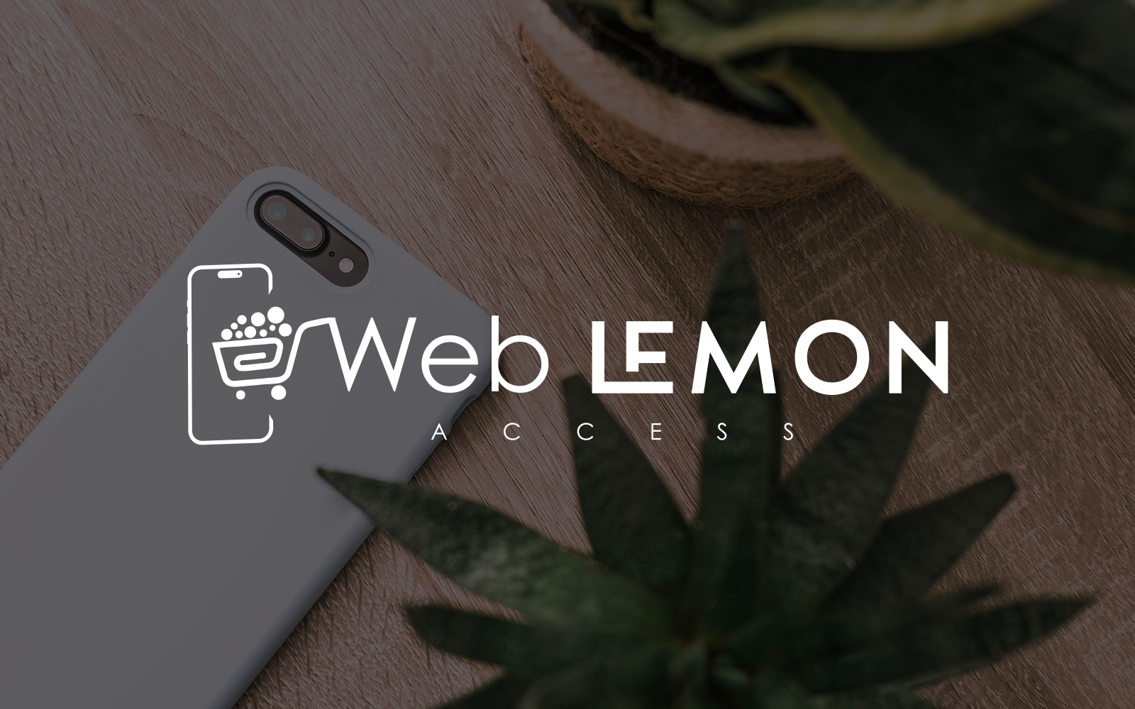 Web Lemon Access