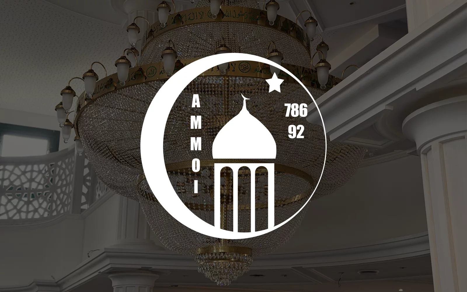 AMMOI