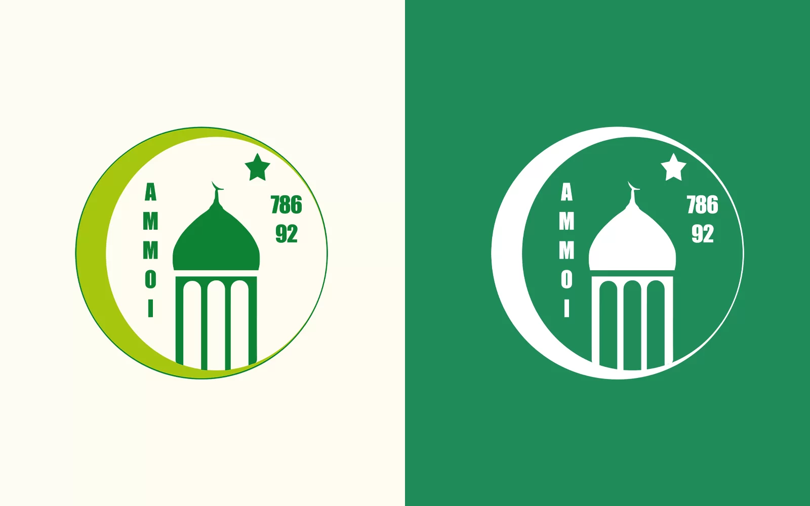 Déclinaisons du logo AMMOI sur fond clair et fond vert